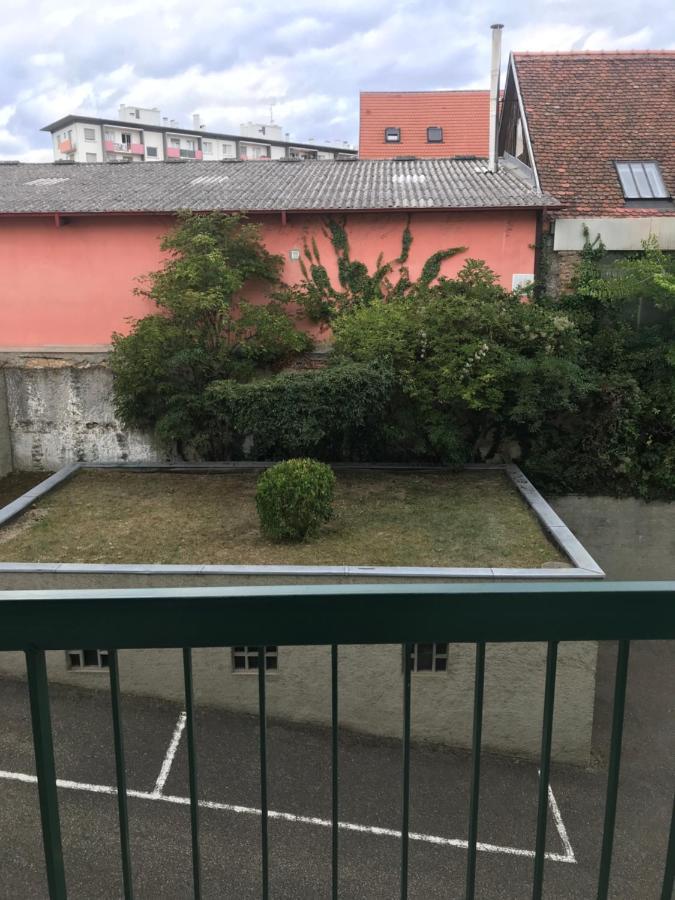 Appartement L'Oeil De 科尔马 外观 照片