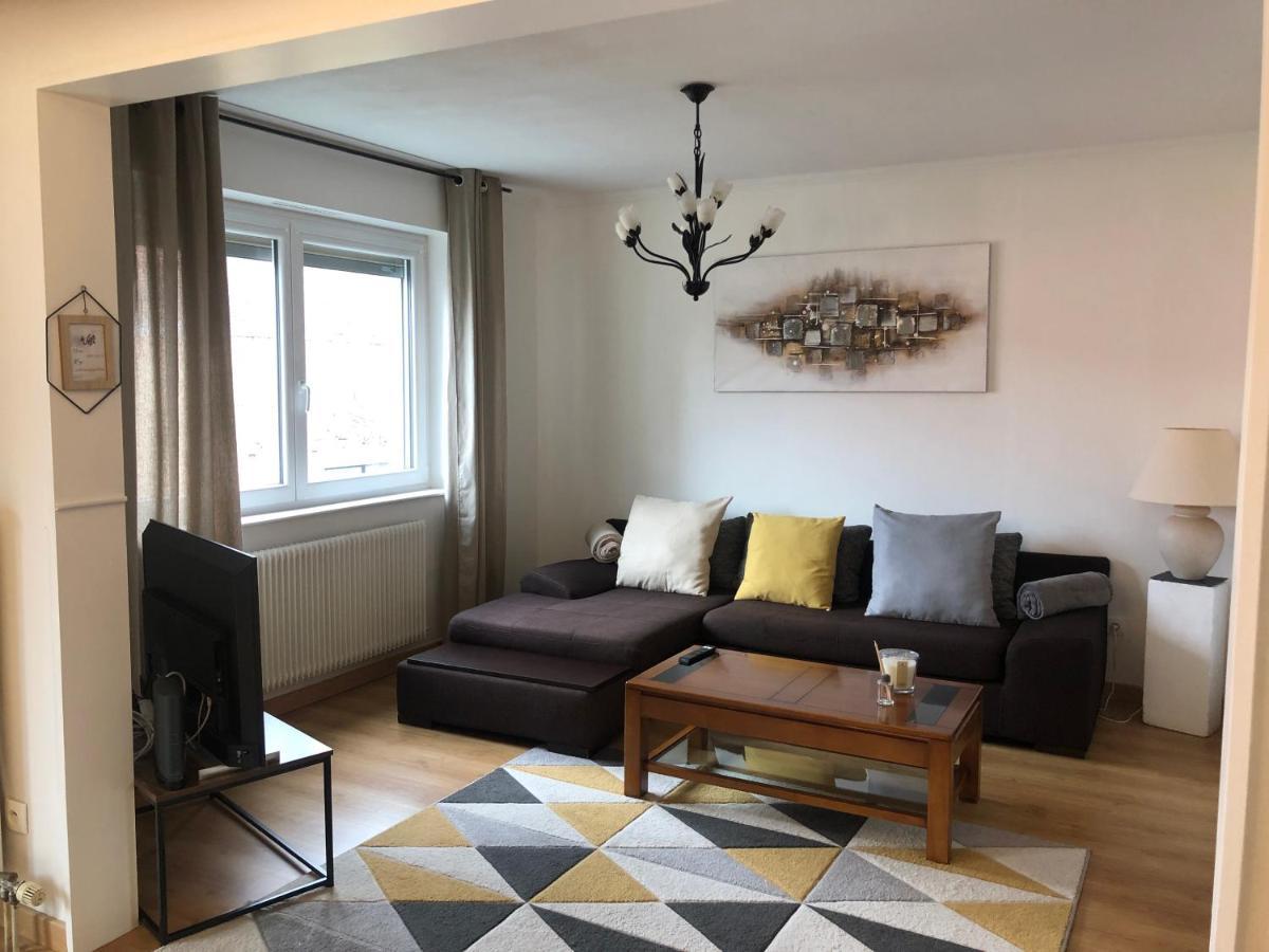 Appartement L'Oeil De 科尔马 外观 照片