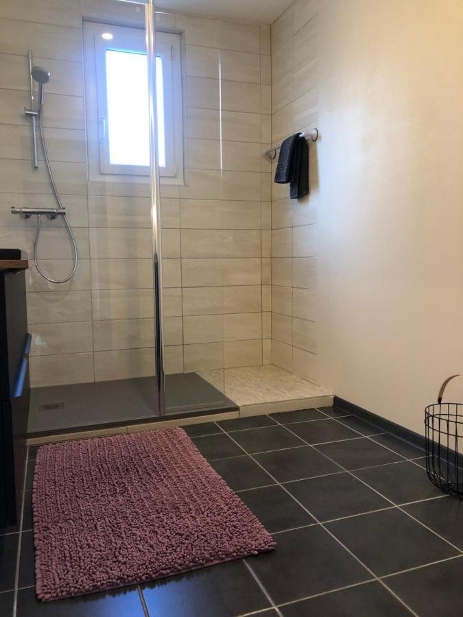 Appartement L'Oeil De 科尔马 外观 照片