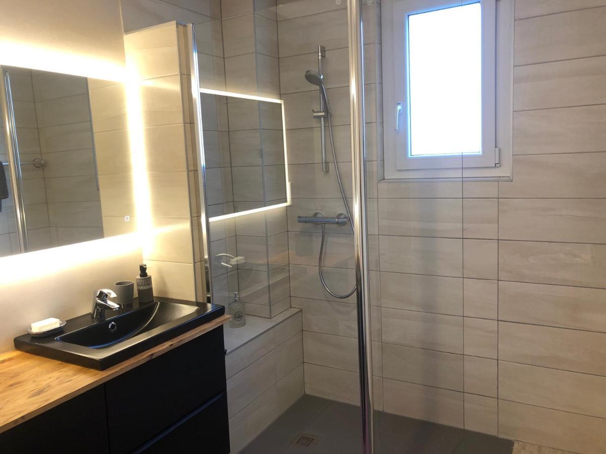 Appartement L'Oeil De 科尔马 外观 照片