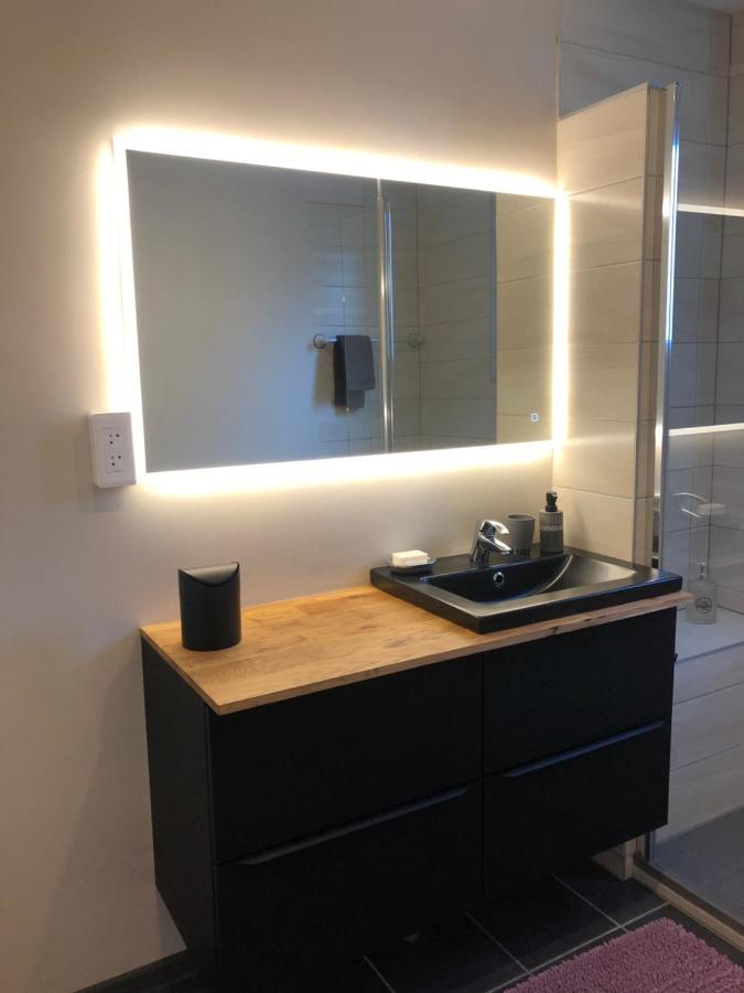 Appartement L'Oeil De 科尔马 外观 照片