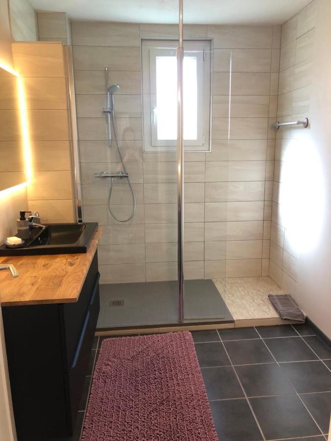 Appartement L'Oeil De 科尔马 外观 照片