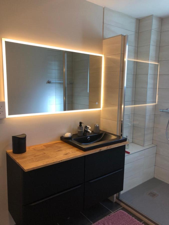 Appartement L'Oeil De 科尔马 外观 照片